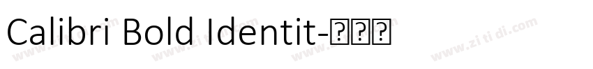 Calibri Bold Identit字体转换